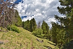 photo thumbnail #5