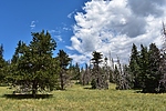 photo thumbnail #6