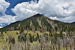 photo thumbnail #9