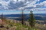 photo thumbnail #10