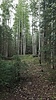 photo thumbnail #11