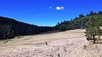 photo thumbnail #14