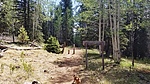 photo thumbnail #15