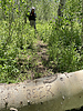 photo thumbnail #11