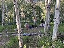 photo thumbnail #3