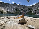 photo thumbnail #9