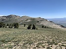 photo thumbnail #14