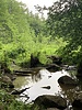 photo thumbnail #15