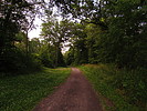photo thumbnail #2