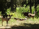 photo thumbnail #11