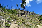 photo thumbnail #2