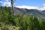 photo thumbnail #4