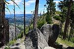 photo thumbnail #7