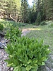 photo thumbnail #10