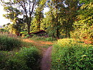 photo thumbnail #8
