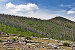 photo thumbnail #9