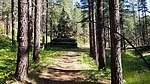 photo thumbnail #3