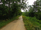 photo thumbnail #3