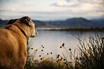 photo thumbnail #13