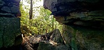 photo thumbnail #10