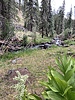 photo thumbnail #7