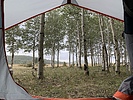 photo thumbnail #14