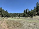 photo thumbnail #3
