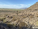 photo thumbnail #3