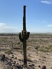 photo thumbnail #13