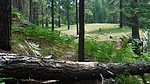 photo thumbnail #6