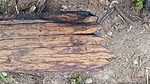 photo thumbnail #9