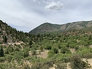 photo thumbnail #4