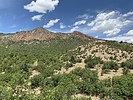photo thumbnail #5