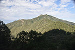 photo thumbnail #2