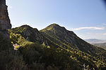 photo thumbnail #3