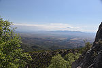 photo thumbnail #6