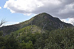 photo thumbnail #7