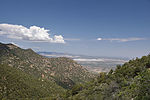 photo thumbnail #8