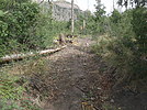photo thumbnail #9
