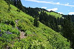 photo thumbnail #13