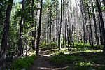 photo thumbnail #3