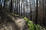 photo thumbnail #4