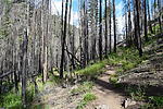 photo thumbnail #6