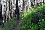 photo thumbnail #8
