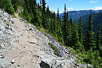photo thumbnail #7