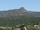 Featured Full Photo
