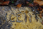 photo thumbnail #5