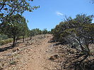 photo thumbnail #10