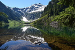 Featured Full Photo