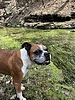 photo thumbnail #1